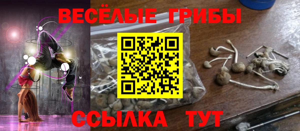 Галлюциногенные грибы мухоморы Сухой Лог