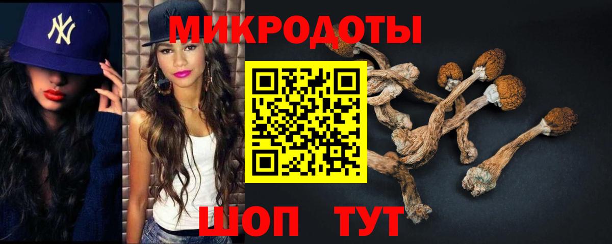 Сухой Лог  Галлюциногенные грибы ЛСД  Вход с VPN 